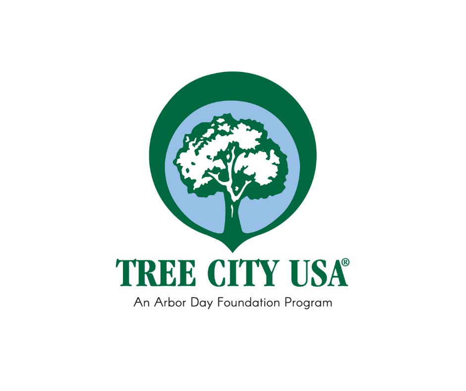 Tree City USA landscape