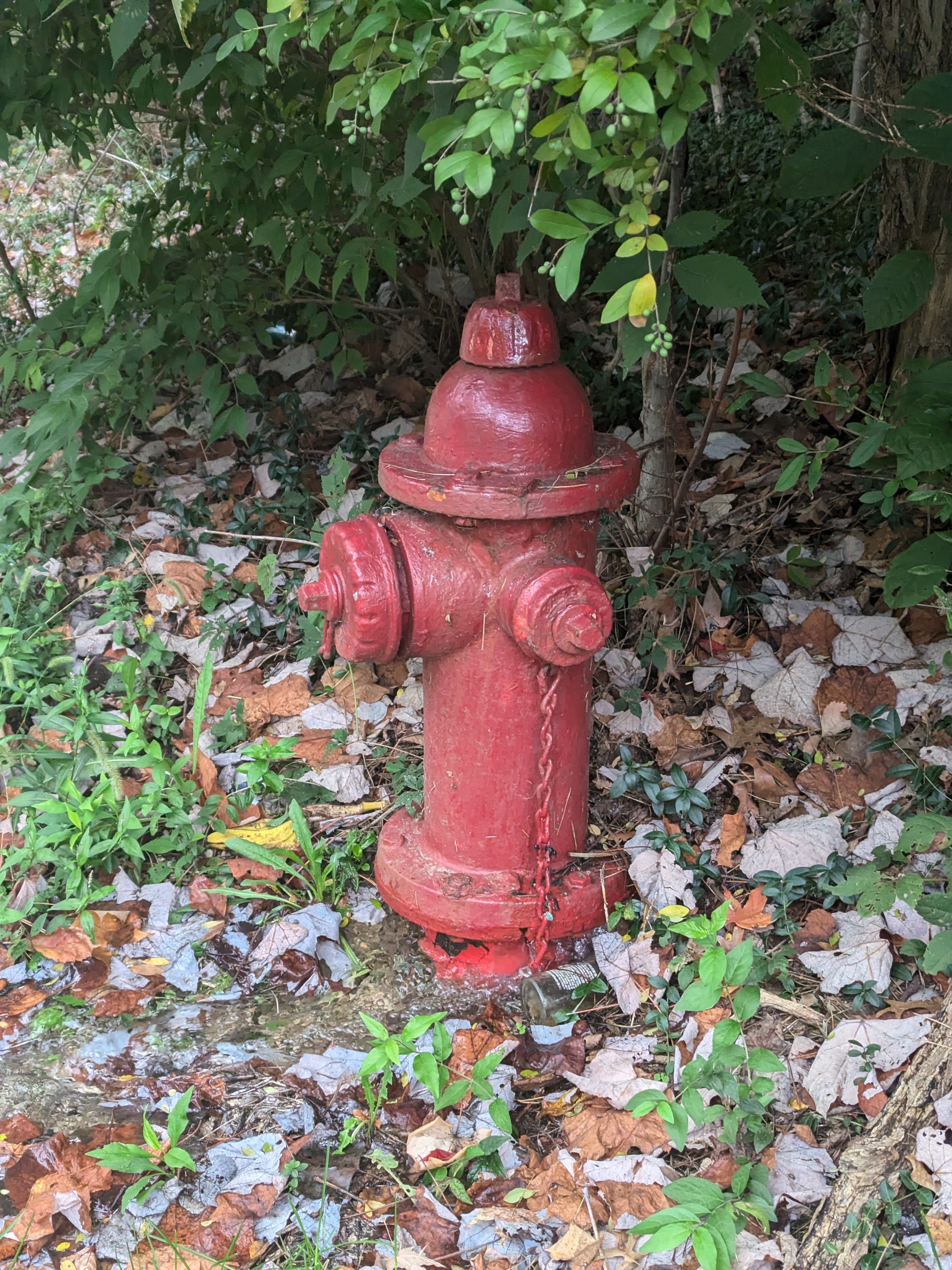 hydrant 092524